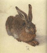 Albrecht Durer A Young Hare china oil painting artist